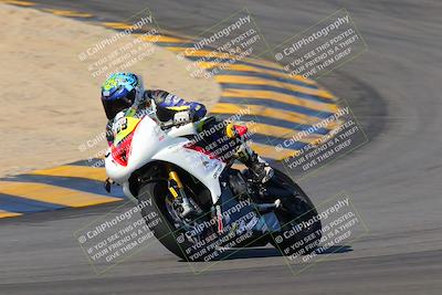 media/Dec-18-2022-SoCal Trackdays (Sun) [[8099a50955]]/Turns 9 and 10 Set 2 (1055am)/